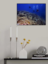 Ulong Channel Poster och Canvastavla