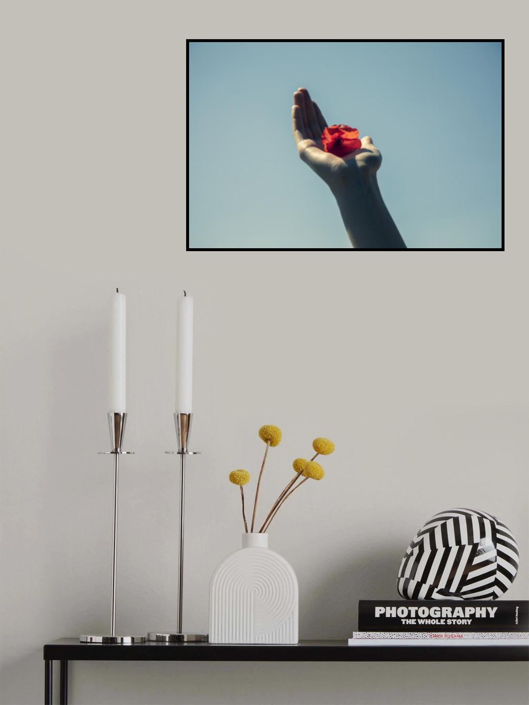 red flower and blue sky Poster och Canvastavla
