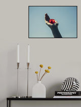 red flower and blue sky Poster och Canvastavla