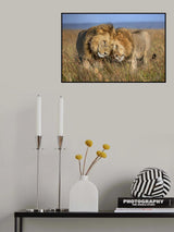 Bond of brothers Poster och Canvastavla