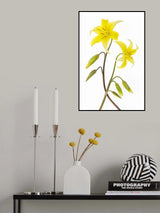 Dogtooth Violet Poster och Canvastavla