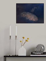 AERIAL FLAMINGO TAKING OFF Poster och Canvastavla