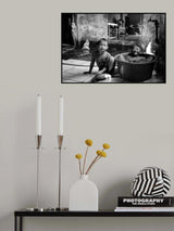 Bath Time Poster och Canvastavla