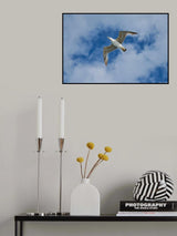 flying seagull Poster och Canvastavla