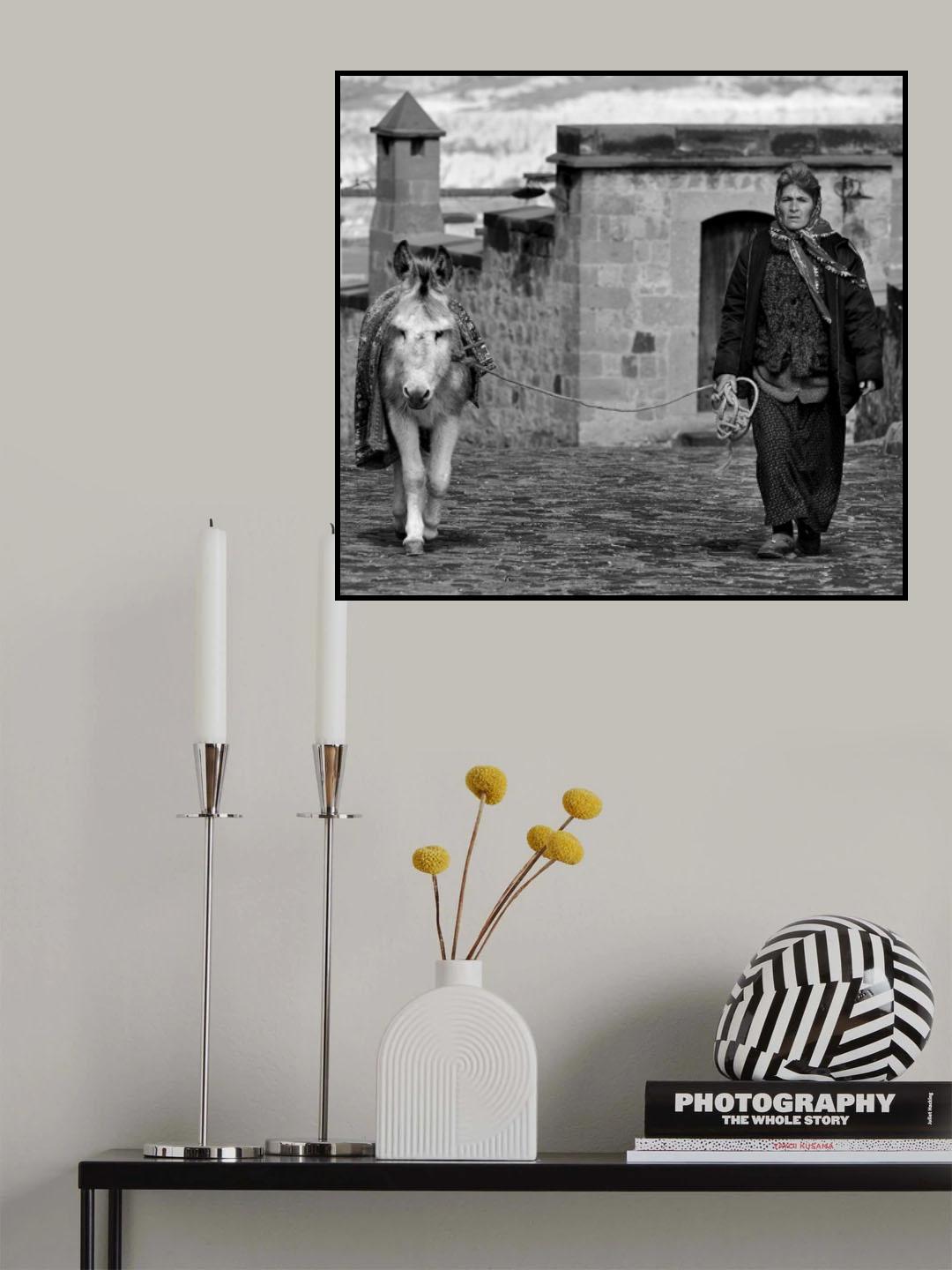 The companion Poster och Canvastavla