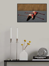 Pink Synchronism Poster och Canvastavla