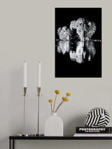 Poster och Canvastavla