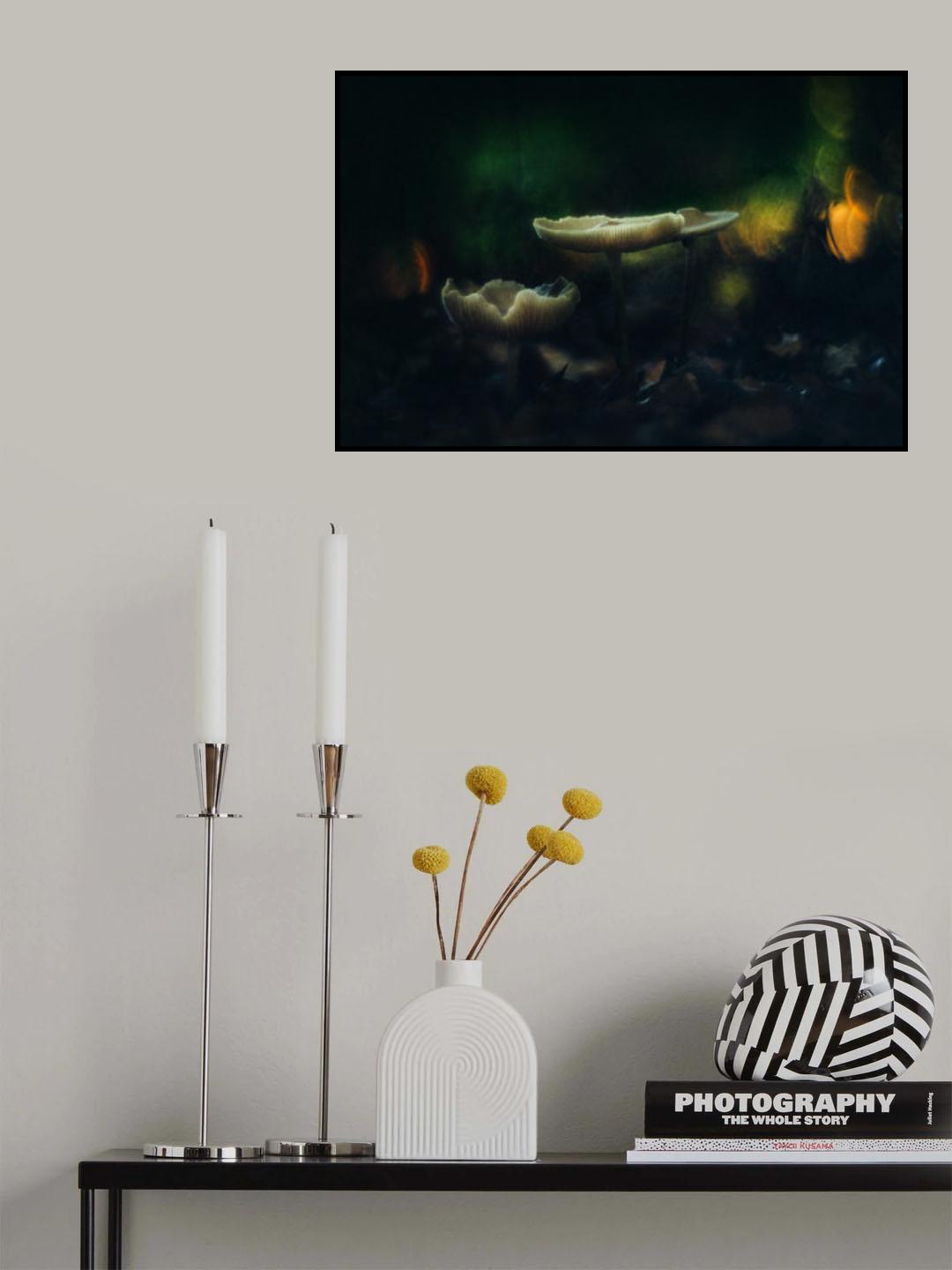 Autumnal reflections Poster och Canvastavla