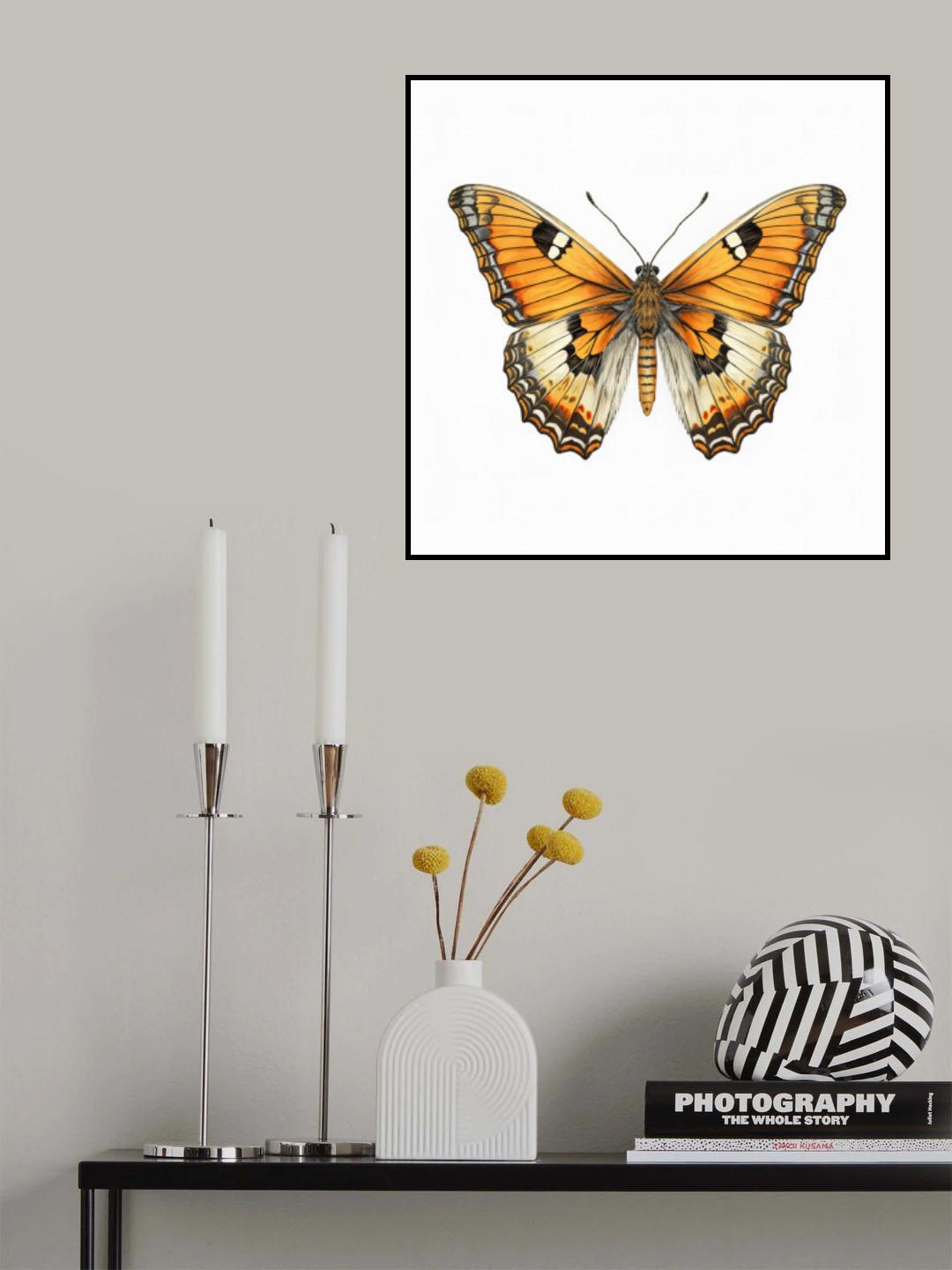 Butterfly 21 Poster och Canvastavla