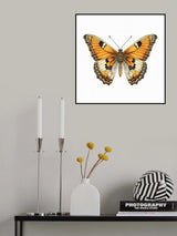 Butterfly 21 Poster och Canvastavla
