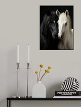 Bw Horses 2 Poster och Canvastavla