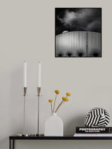 weeping willows Poster och Canvastavla