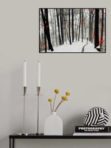 Through autumn and winter Poster och Canvastavla