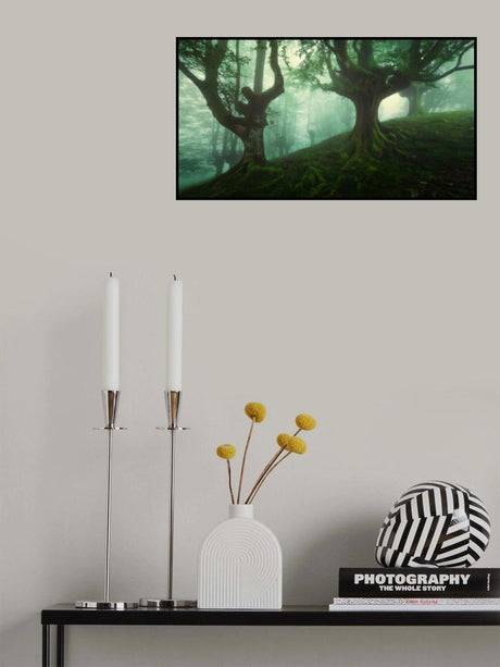 Deep Forest Poster och Canvastavla