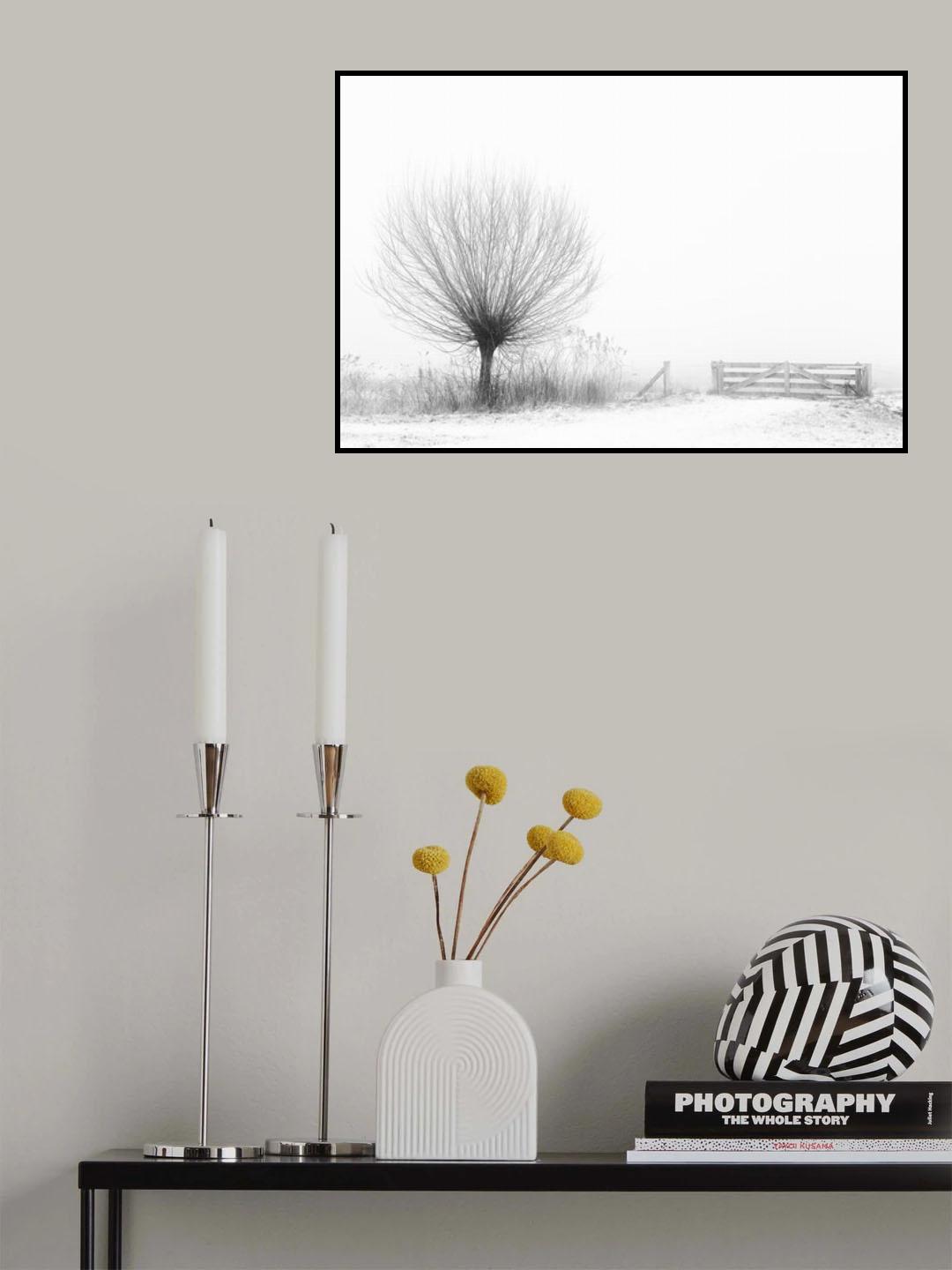 Access to fog Poster och Canvastavla