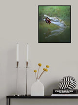 Crayfish Poster och Canvastavla