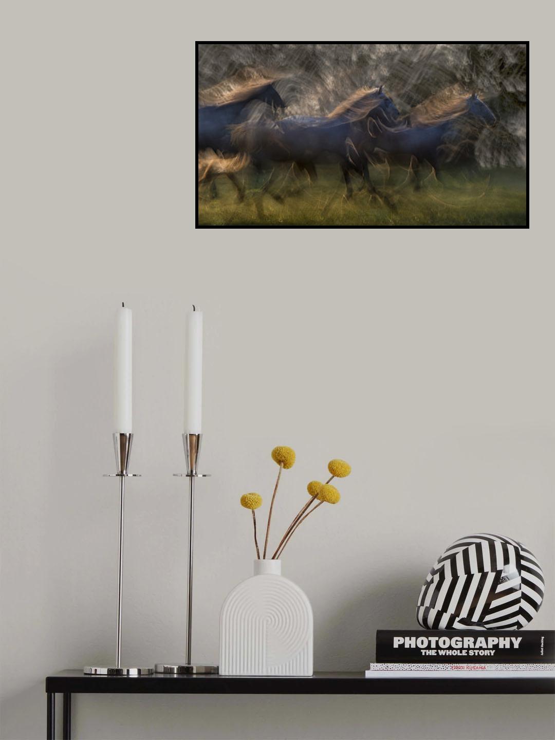 Horse run Poster och Canvastavla