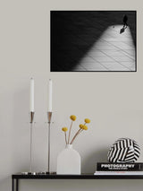 Light and shadows Poster och Canvastavla