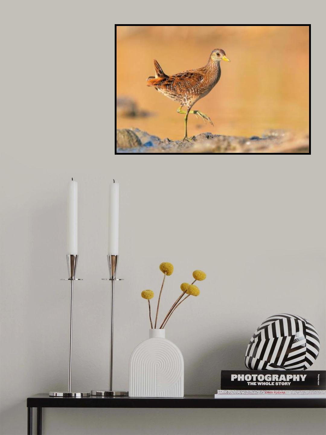 Poser Poster och Canvastavla