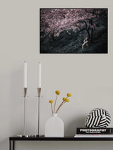 Poster och Canvastavla