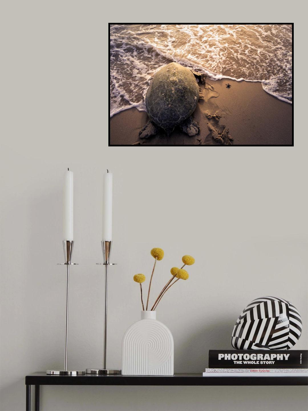 Turtle Migration Poster och Canvastavla