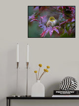 Autumn Poster och Canvastavla