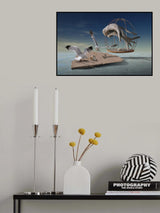Dolphin in a cage Poster och Canvastavla
