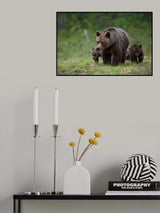 Mother &amp; cubs Poster och Canvastavla