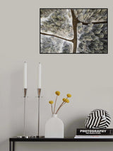 Muddy road Poster och Canvastavla