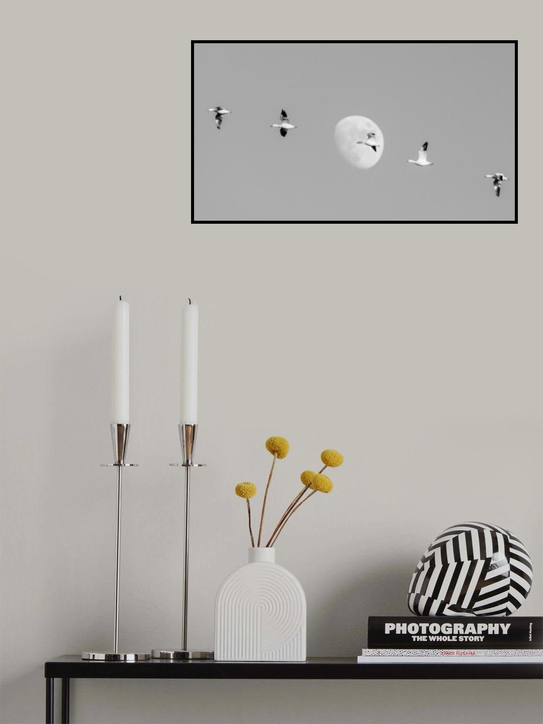 Snow Geese and the Moon Poster och Canvastavla