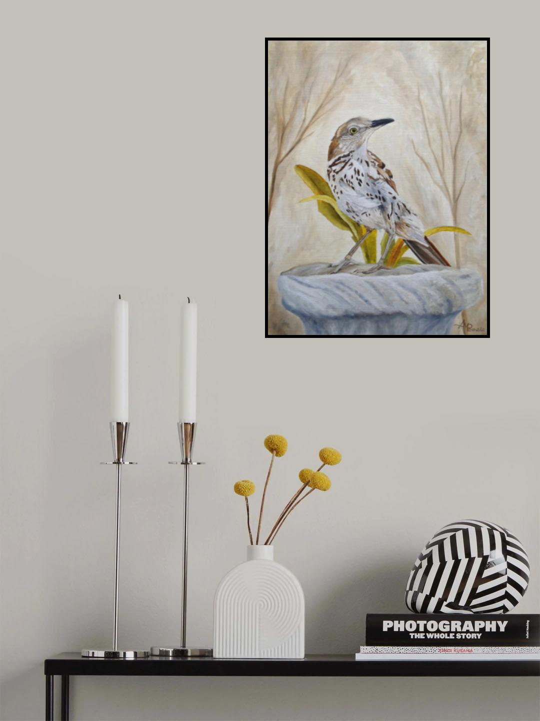 Early Brown Thrasher Poster och Canvastavla