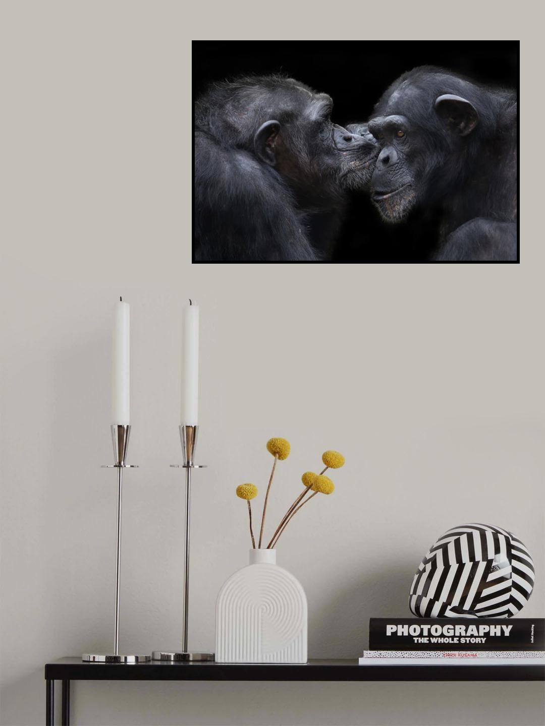 a kiss Poster och Canvastavla