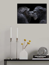 a kiss Poster och Canvastavla