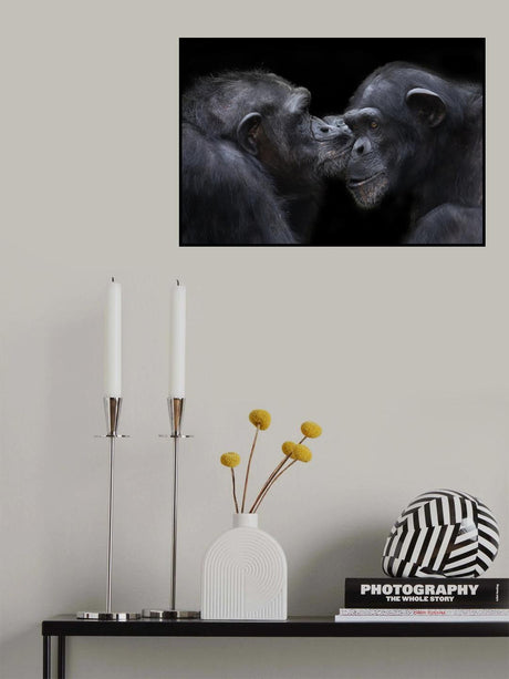 a kiss Poster och Canvastavla