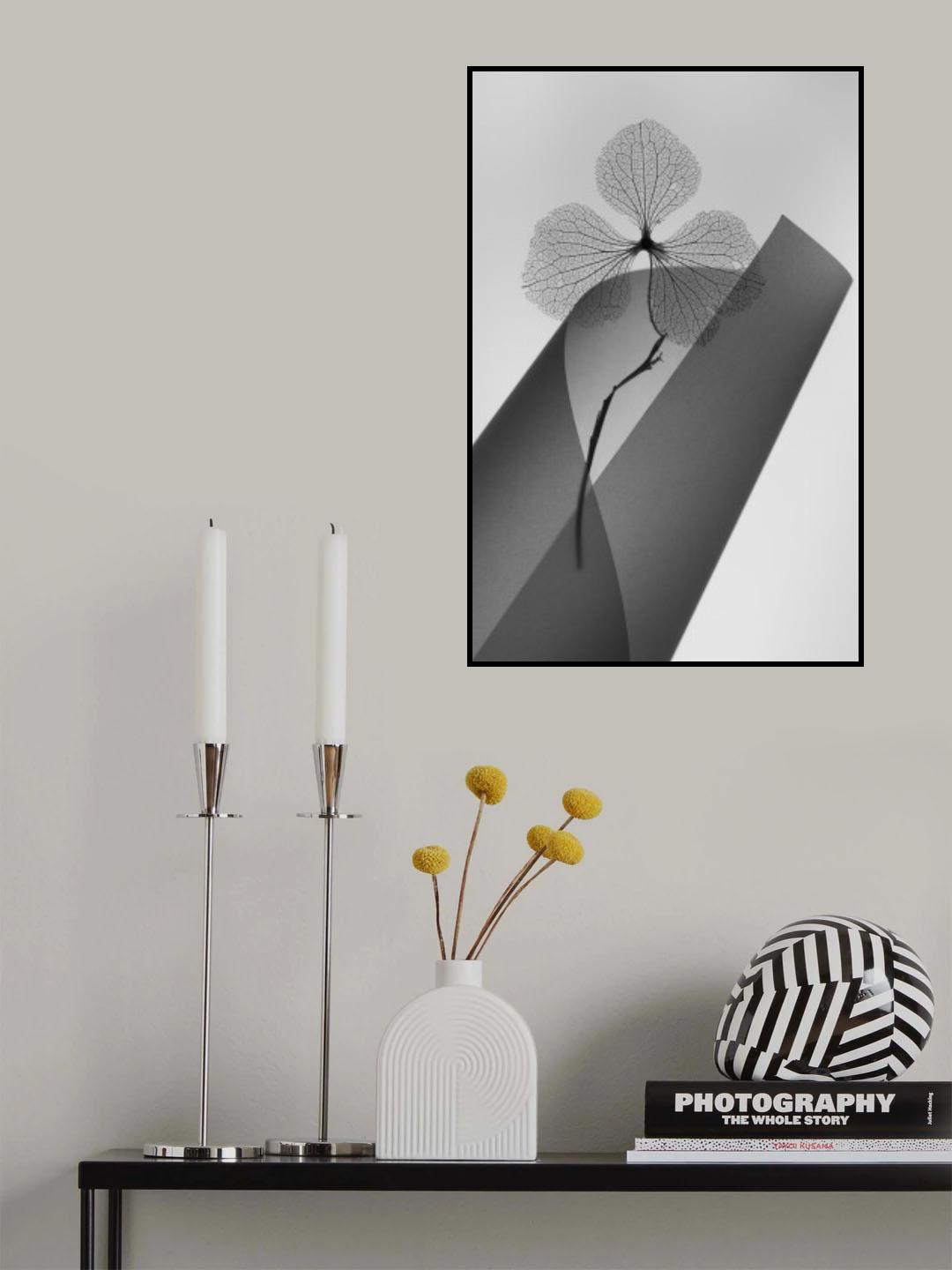 Hydrangea Poster och Canvastavla