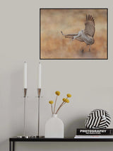 Poster och Canvastavla