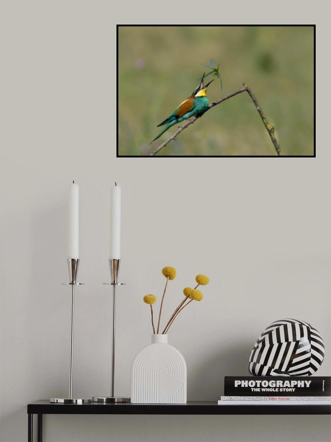 Flipping Poster och Canvastavla
