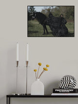 * Poster och Canvastavla