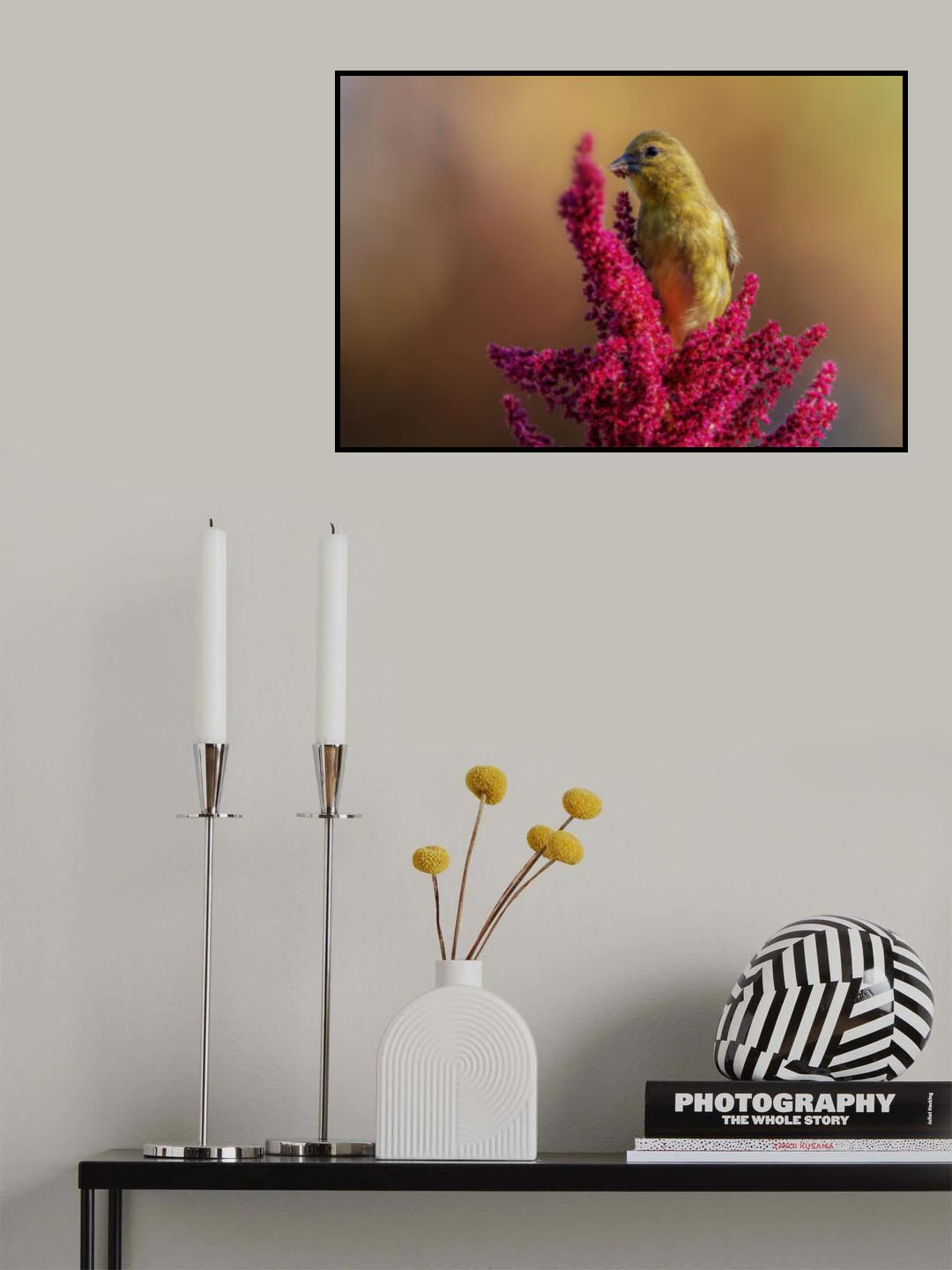 Goldfinch Poster och Canvastavla