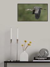 In search of hope Poster och Canvastavla