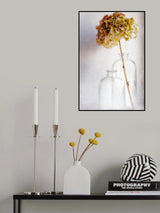 hydrangea Poster och Canvastavla