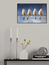 White Monjita Poster och Canvastavla