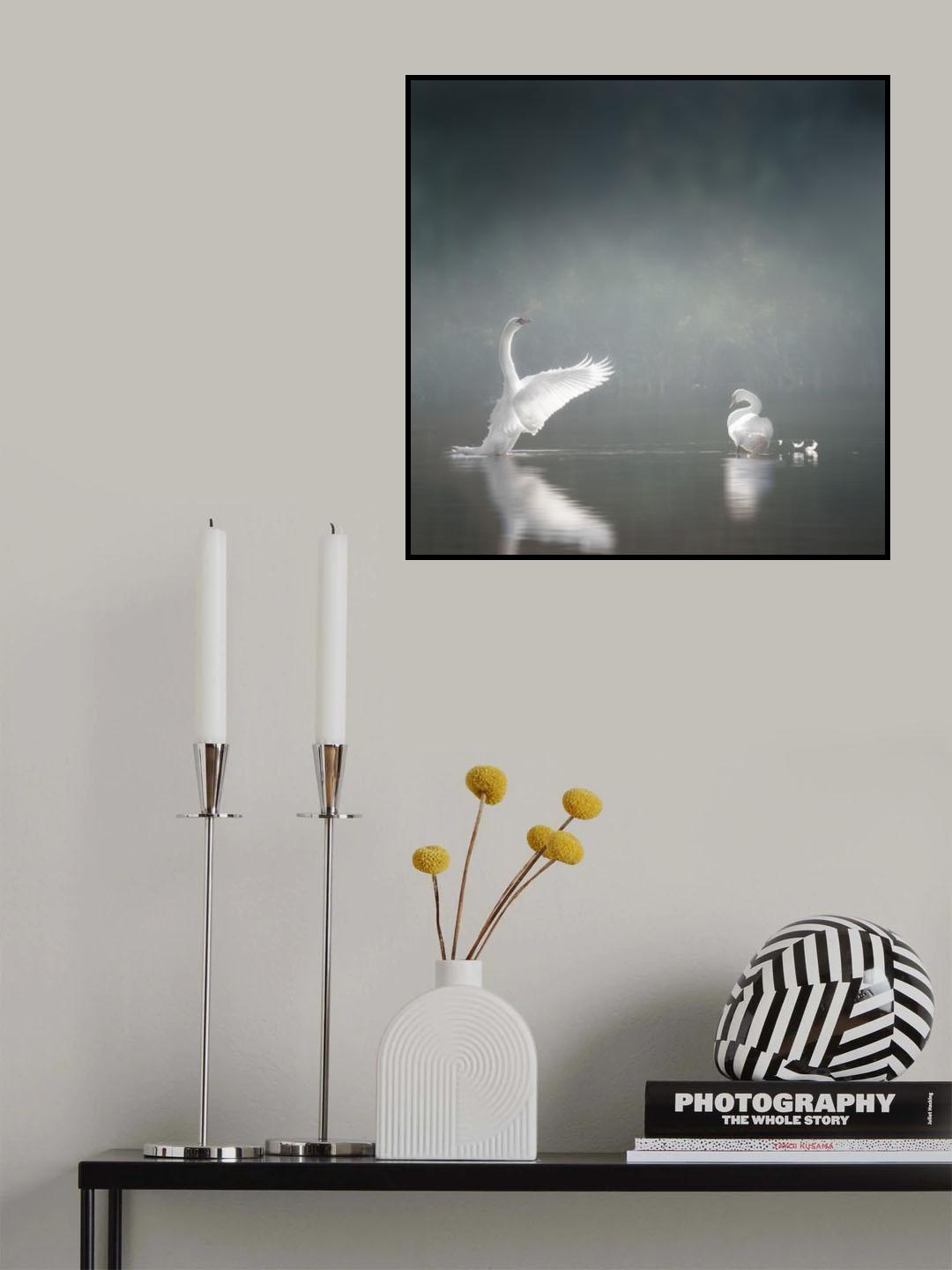 swansee Poster och Canvastavla