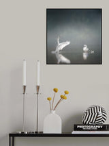 swansee Poster och Canvastavla