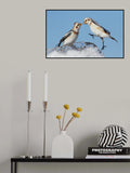 Snow Buntings Poster och Canvastavla