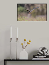 Endangered Species Poster och Canvastavla