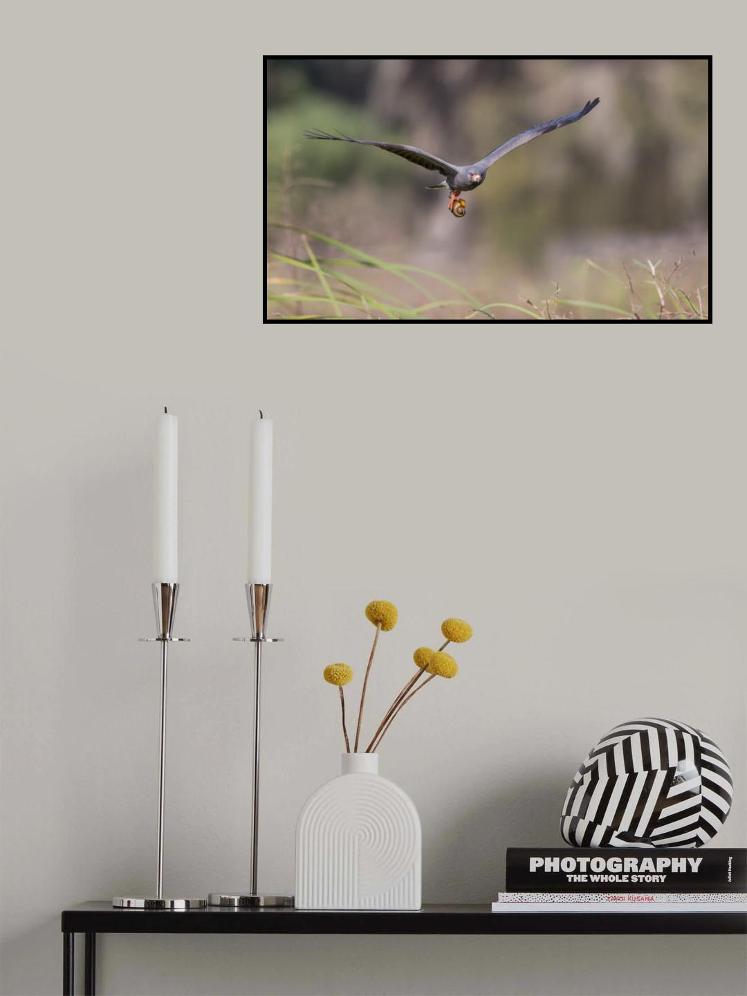 Endangered Species Poster och Canvastavla