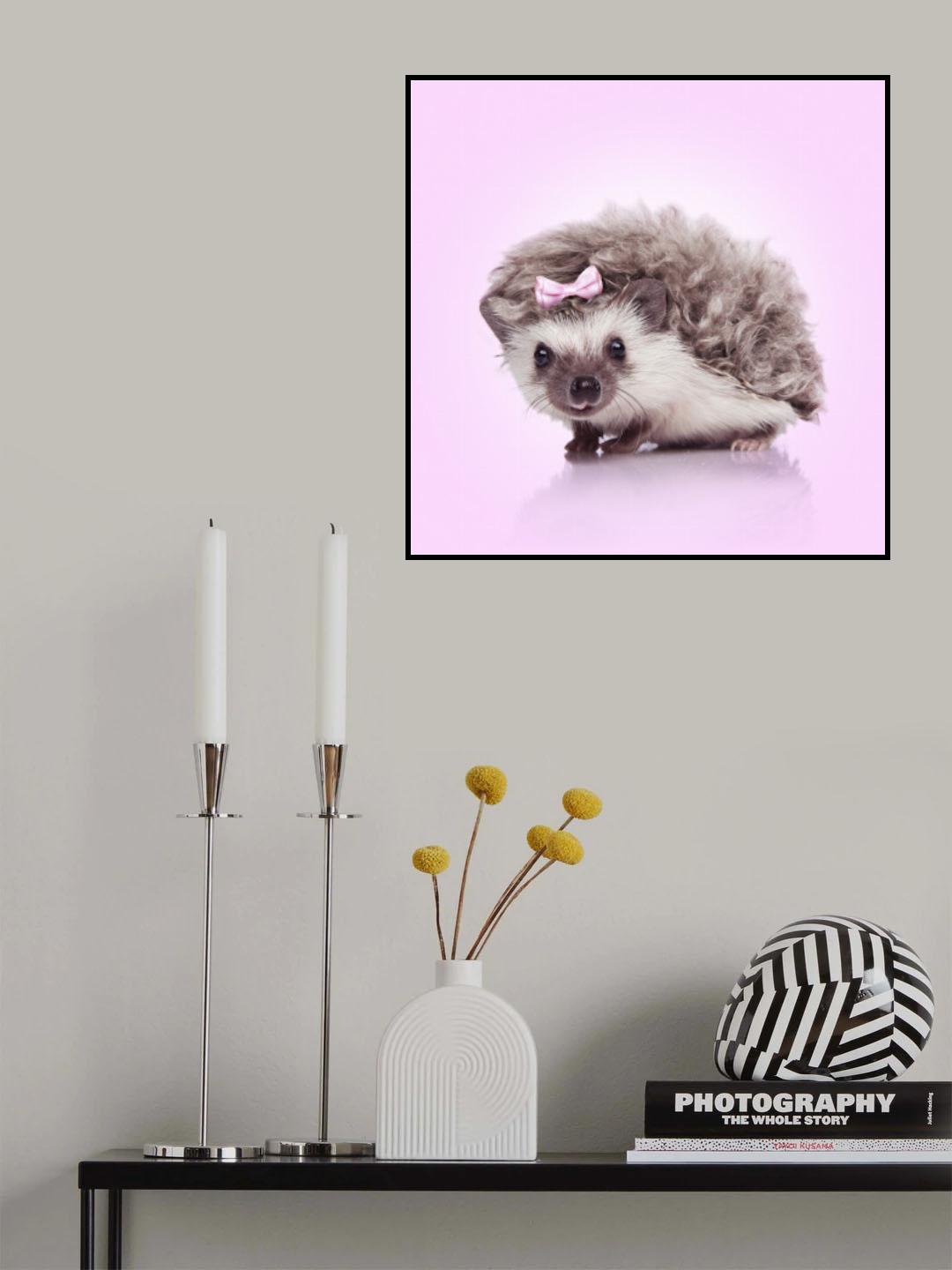 Curvy Hedgehog Poster och Canvastavla