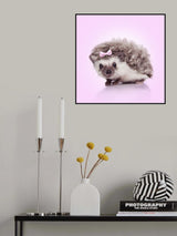 Curvy Hedgehog Poster och Canvastavla
