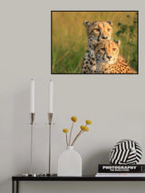 Double Team Poster och Canvastavla